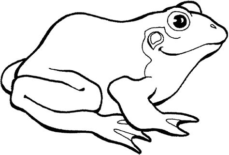 Printable Picture Of A Frog