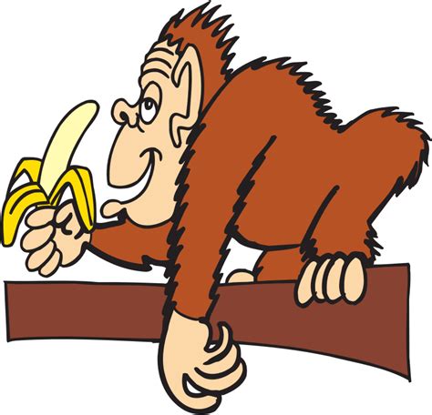 Ape Eating Banana Openclipart