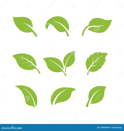 Set Of Green Leaves Element Vector Icon Green Leaf Vector Symbol