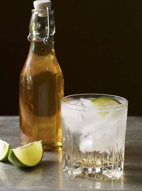 Ultimate Gin And Tonic With Homemade Tonic Water Tonic Syrup Tonic