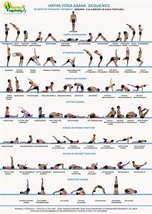 Yoga Hatha Poses Work Out Picture Media Work Out Picture Media