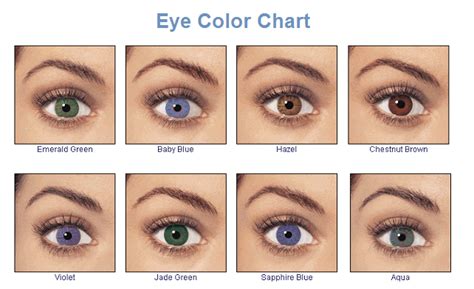 This Shows All The Basic Eye Colors Hazel Brown Blue Violet