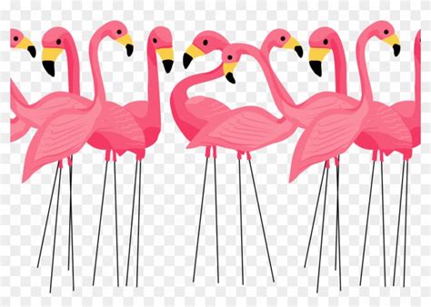Clip Art Flamingos 20 Free Cliparts Download Images On