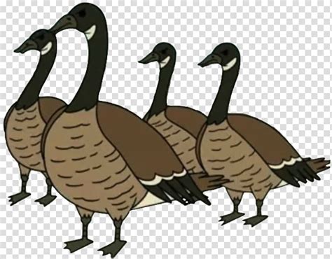 Flock Of Geese Clipart