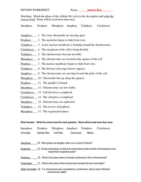 Cells alive meiosis phase worksheet answers related files 13 Best Images of The Cell Cycle Worksheet Study Guide ...