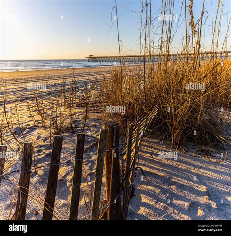 Dune Fence With Sea Oats On Second Avenue Beach Myrtle Beach South