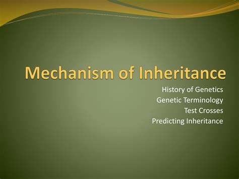 Ppt Mechanism Of Inheritance Powerpoint Presentation Free Download