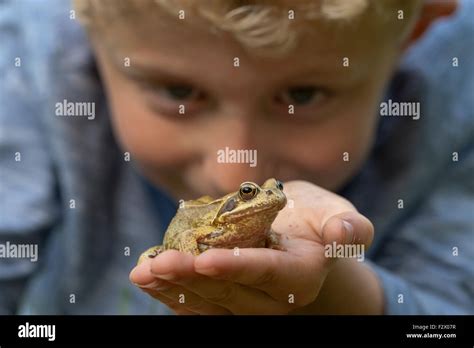 Boy With Frog Hi Res Stock Photography And Images Alamy