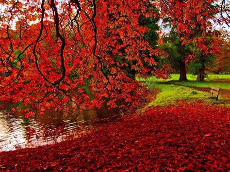 Beautiful Autumn Wallpapers Most Beautiful Places In Romantic Natural