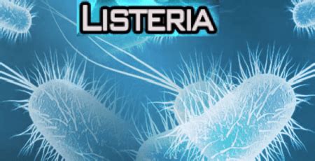 Though in healthy people it doesn't usually cause lasting harm, it threatens pregnant women and their babies, people with weak immune systems, and seniors. Understanding Listeria? - Doctor, Medical Centre In ...