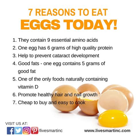 7 Reasons To Eat Eggs Today Health Benefits Of