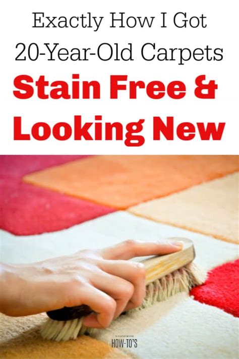 Dip a scrubbing sponge into the soapy water and. How To Get Dried Paint Out Of Carpet Step-by-Step
