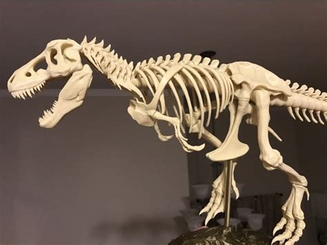 T Rex Skeleton Fixed And Printable By Icefox1983 Thingiverse Stl