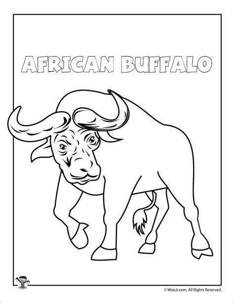 African Buffalo Coloring Pages Coloring Pages