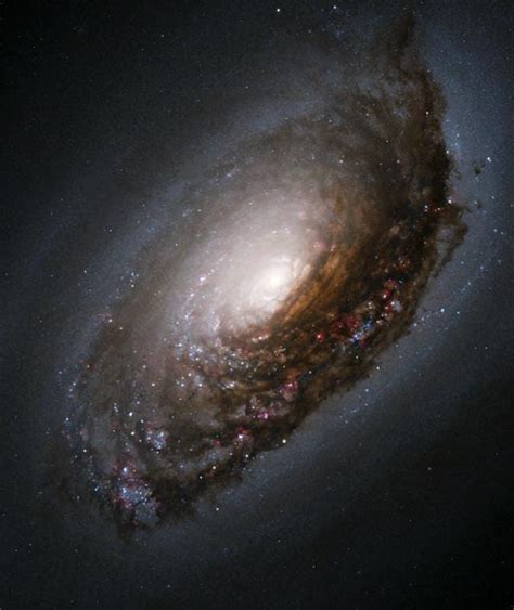 Astroquizzical Why Do Galaxies Have Two Spiral Arms By Jillian