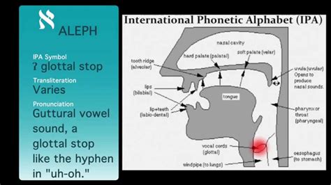 Qof through tav have the values 100 through 400, counting by 100s. Biblical Hebrew Alphabet Pronunciation - YouTube