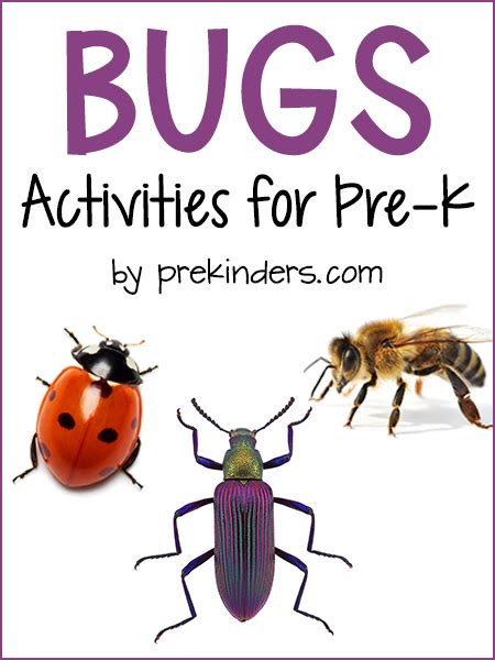 Bugs Theme - PreKinders