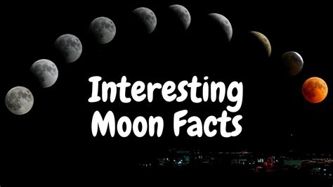 Interesting Moon Facts Unknown Facts About Moon Ever Facts About