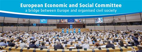 European Economic And Social Committee Opinion On The Economic And