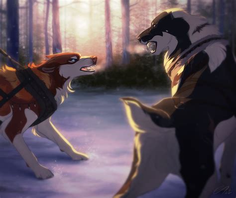 Confrontation Anime Wolf Drawing Canine Art Anime Wolf