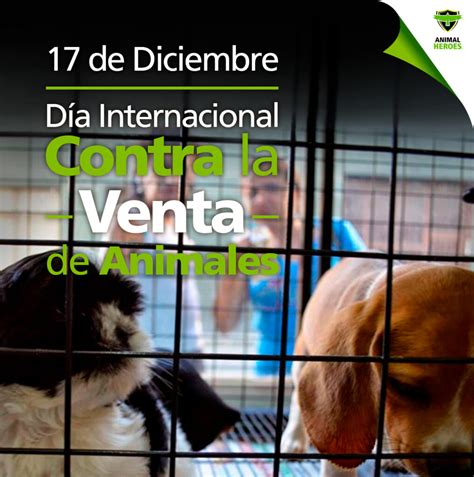 Día Internacional Contra La Venta De Animales Prensa Animal
