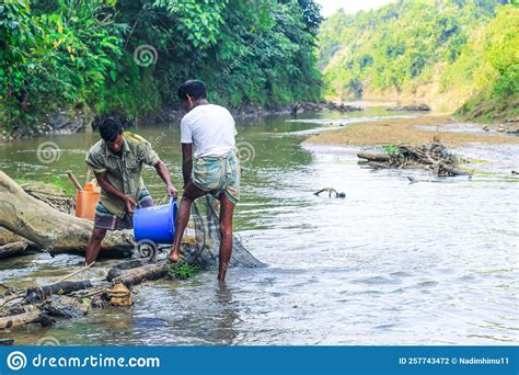 Tribal Fishermen Catch Fish With Fishing Nets In The Creek Tribals