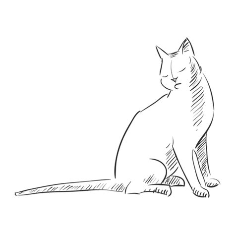 Desenho Gato Sentado Baixar Pngsvg Transparente