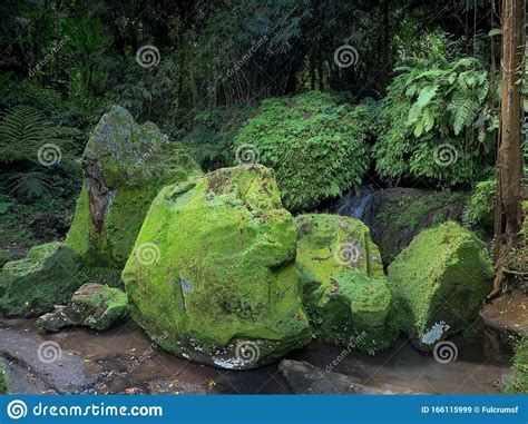 Green Moss Covered Boulder Rocks Stock Image Image Of Grungy Moss