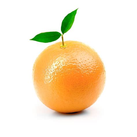 Fresh Orange Isolated On White Background Stock Photo Image Of Core