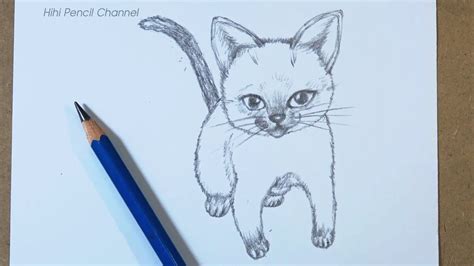 how to draw a cute cat easy step by step pencil drawing youtube