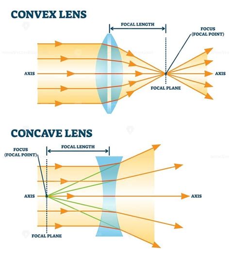 convex and concave lens vector illustration diagrams vectormine
