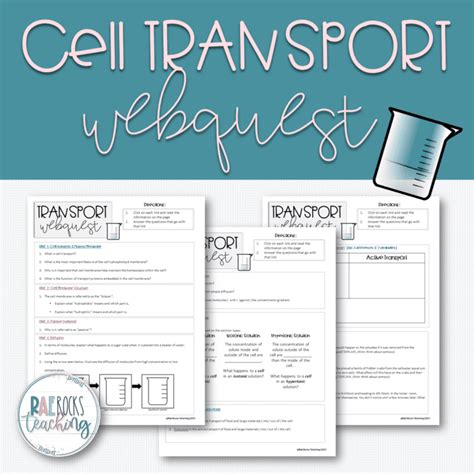 Cell Membrane And Cell Transport Webquest Rae Rocks Teaching