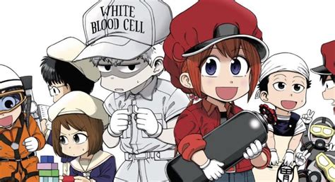 Cells At Work Baby Returns The Manga Set To Resume Publishing This