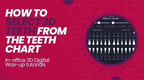 Part 04 How To Select 3d Teeth From The Teeth Chart Youtube