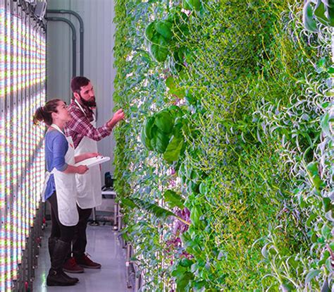 Ingenuity (ingenium) is the root latin word for engineering. Neo-Ag: Farming with Robots, AI & Ingenuity - Asian ...