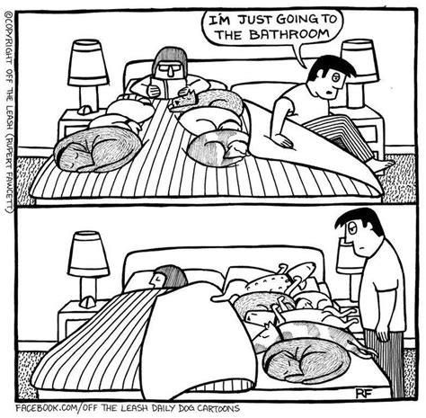 When The Dogs Take Over Your Bed Comics Funny Dog Memes Sleeping