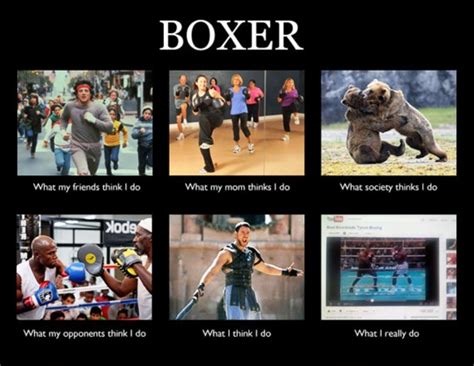 126 Great Boxing Memes For You