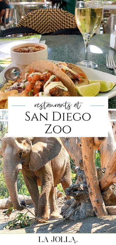 San Diego Zoo Restaurants: Best Places to Eat Now & Food Tips | San