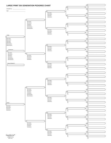 Ten Large Print 6 Generation Pedigree Charts For Ancestry Easygenie