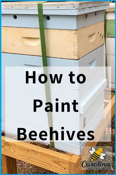How To Paint A Beehive Easy Tips Carolina Honeybees Painted Bee