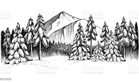 Winter Conifer Forest In Mountains Black And White Vector Drawing stock ...