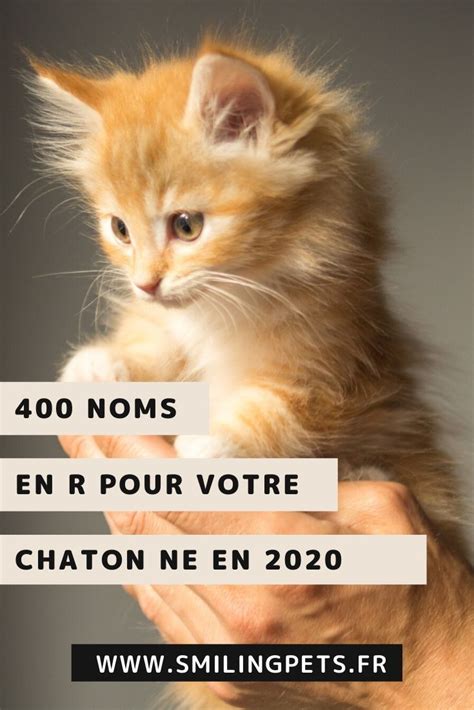 Noms de chat en R en 2020 | Noms de chat, Prénom chat femelle, Nom pour
