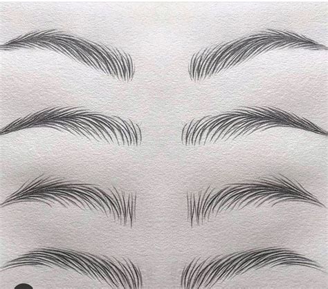 Fluffy Brow Styles Eyebrows Sketch How To Draw Eyebrows