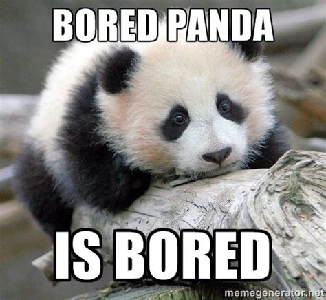 Bored Panda Meme Funny Pictures Bones Funny Laugh