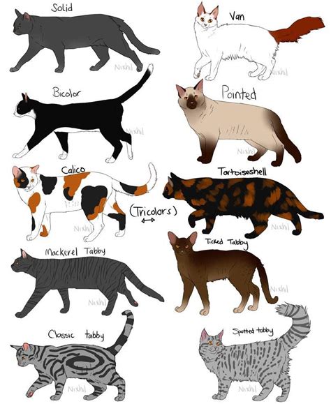Guide to pantherinae/big cats guide to felinae/little cats guide to housecat breeds 1 guide to housecat breeds 2 guide to coat colors and patterns. Favorite cat coat color/patterns?🐱 | Pets Amino