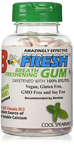 Vegan Chewing Gum Brands