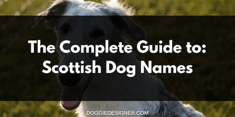 Best Scottish Dog Names Stom