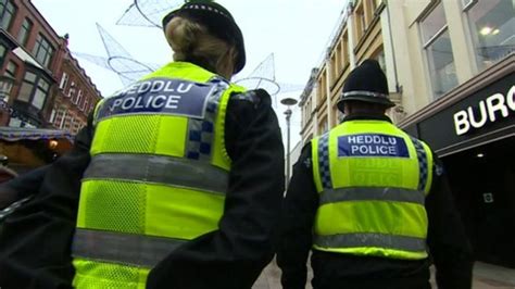 Police Cuts Means Less Crime Prevention Expert Says Bbc News