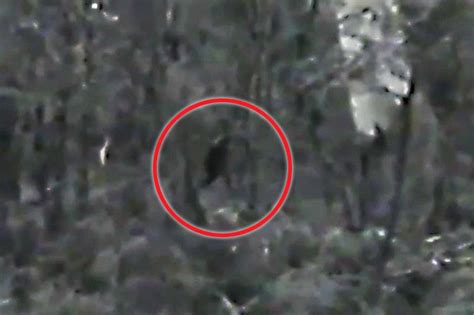 Australian Bigfoot Like Creature Caught On Camera In Credible Clip