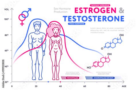 Creative Representative Charts Showing Male Hormone Of Testosterone